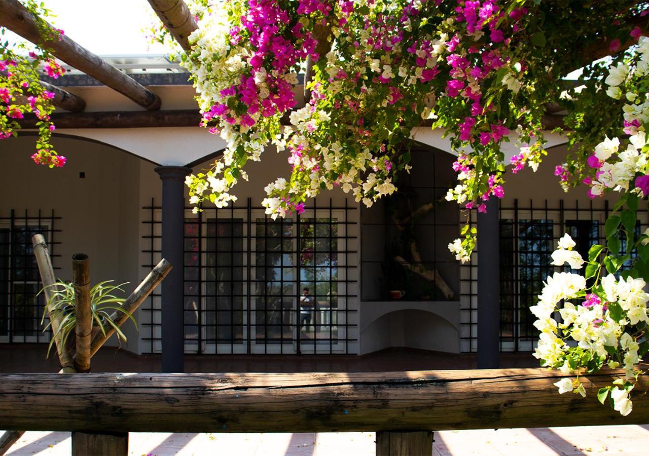 Villas Montserrat Wellness Center Guadalupe  Eksteriør billede